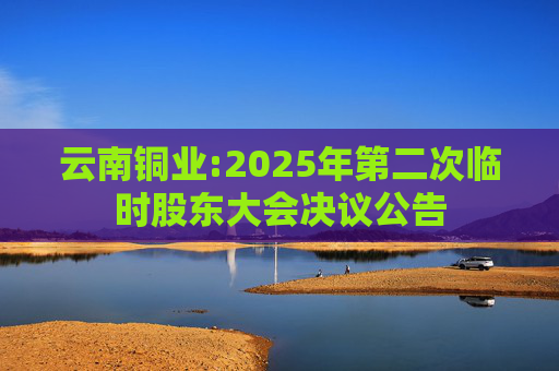 云南铜业:2025年第二次临时股东大会决议公告