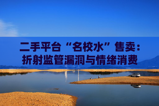 二手平台“名校水”售卖:折射监管漏洞与情绪消费