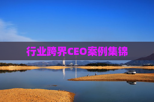 行业跨界CEO案例集锦