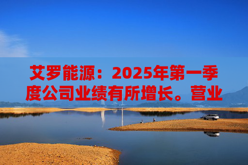 艾罗能源：2025年第一季度公司业绩有所增长。营业收入为7.99亿元