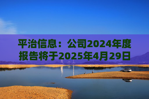 平治信息：公司2024年度报告将于2025年4月29日披露  第1张