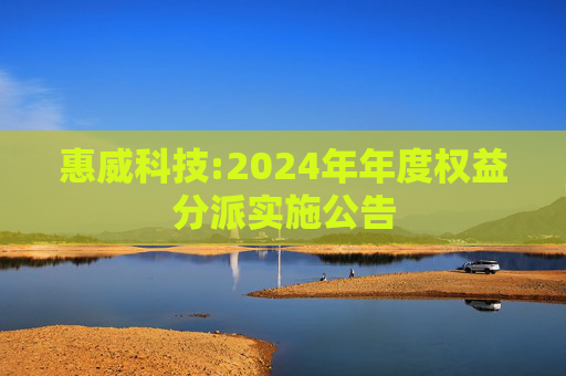 惠威科技:2024年年度权益分派实施公告