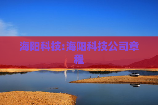 海阳科技:海阳科技公司章程