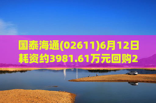 国泰海通(02611)6月12日耗资约3981.61万元回购214.992万股A股