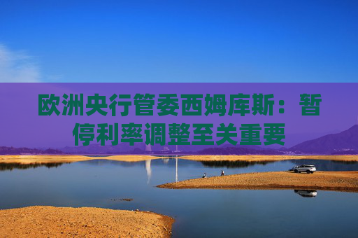 欧洲央行管委西姆库斯:暂停利率调整至关重要
