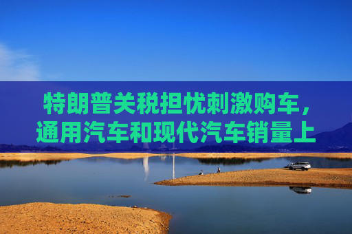 特朗普关税担忧刺激购车，通用汽车和现代汽车销量上升