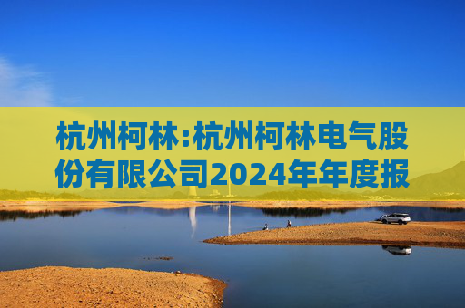杭州柯林:杭州柯林电气股份有限公司2024年年度报告  第1张