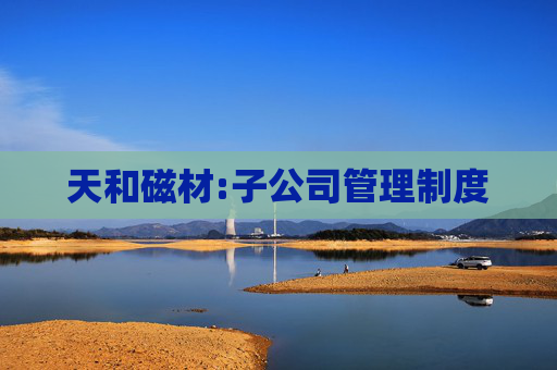 天和磁材:子公司管理制度  第1张