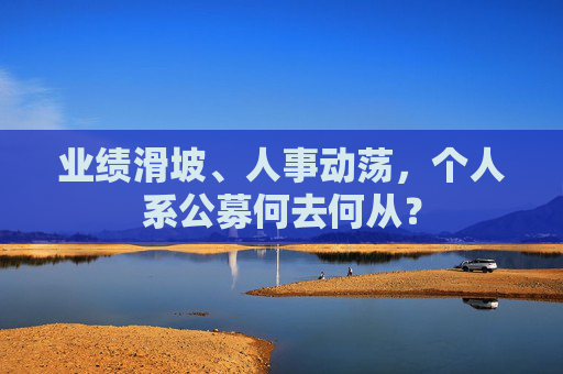 业绩滑坡、人事动荡，个人系公募何去何从？