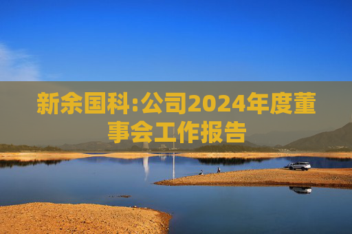 新余国科:公司2024年度董事会工作报告