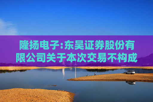 隆扬电子:东吴证券股份有限公司关于本次交易不构成上市公司重大资产重组管理办法第十三条规定的重组上市情形的核查意见