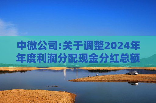 中微公司:关于调整2024年年度利润分配现金分红总额的公告  第1张