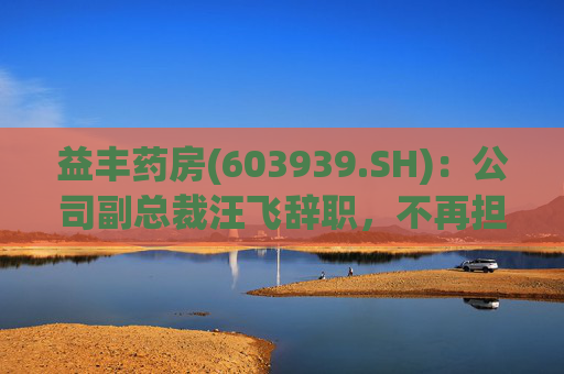 益丰药房(603939.SH)：公司副总裁汪飞辞职，不再担任公司其他职务  第1张