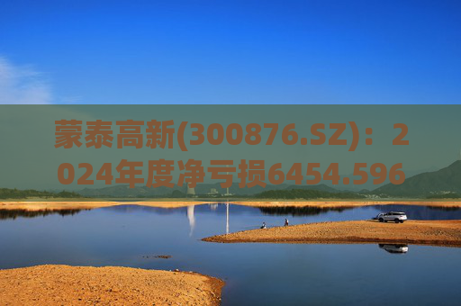 蒙泰高新(300876.SZ)：2024年度净亏损6454.596万元