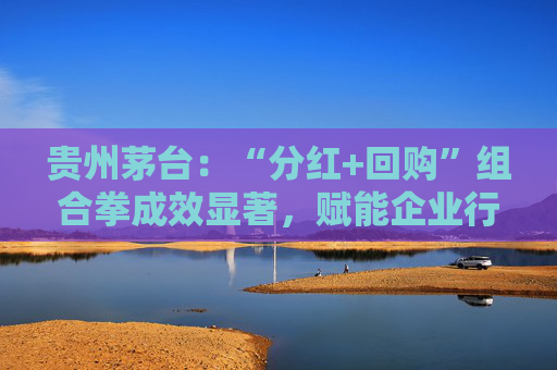 贵州茅台：“分红+回购”组合拳成效显著，赋能企业行稳致远  第1张