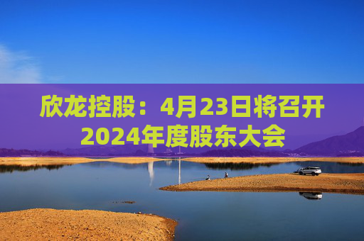 欣龙控股：4月23日将召开2024年度股东大会  第1张