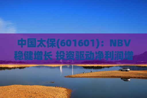 中国太保(601601):NBV稳健增长 投资驱动净利润增速提升