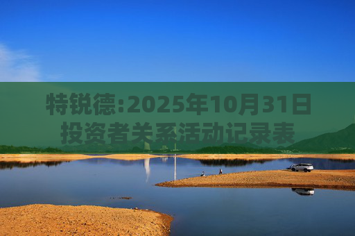 特锐德:2025年10月31日投资者关系活动记录表