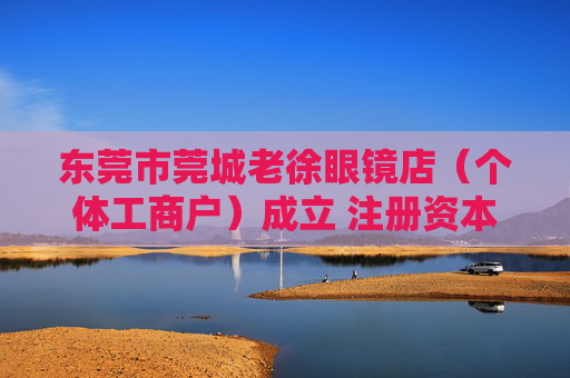东莞市莞城老徐眼镜店（个体工商户）成立 注册资本10万人民币  第1张