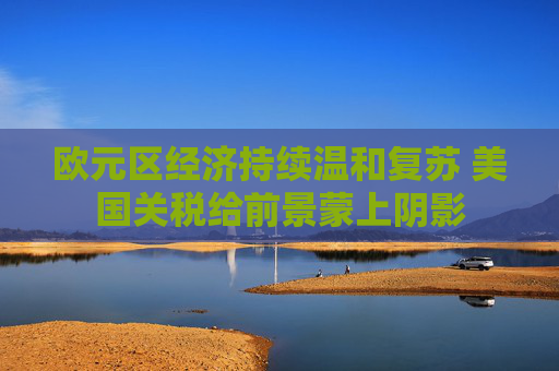 欧元区经济持续温和复苏 美国关税给前景蒙上阴影