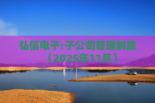 弘信电子:子公司管理制度（2025年11月）