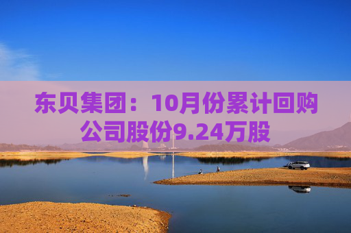 东贝集团：10月份累计回购公司股份9.24万股