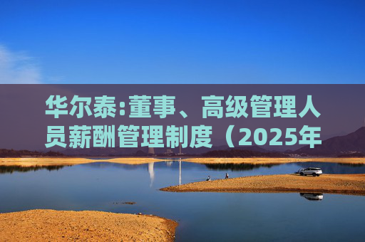 华尔泰:董事、高级管理人员薪酬管理制度（2025年11月）
