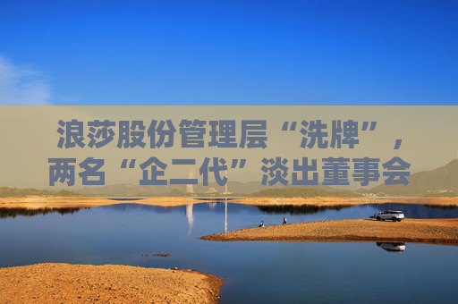 浪莎股份管理层“洗牌”，两名“企二代”淡出董事会