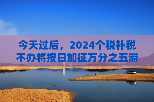 今天过后,2024个税补税不办将按日加征万分之五滞纳金