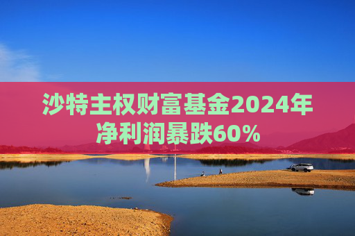 沙特主权财富基金2024年净利润暴跌60%