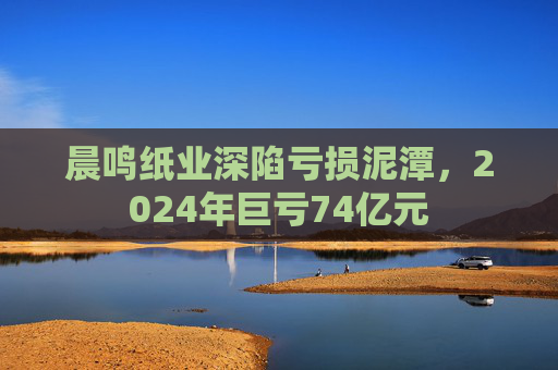 晨鸣纸业深陷亏损泥潭,2024年巨亏74亿元