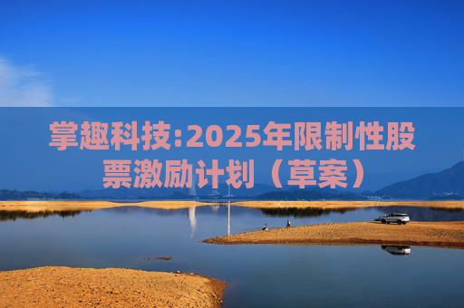 掌趣科技:2025年限制性股票激励计划(草案)
