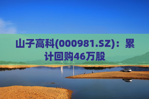 山子高科(000981.SZ)：累计回购46万股