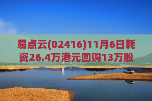易点云(02416)11月6日耗资26.4万港元回购13万股  第1张