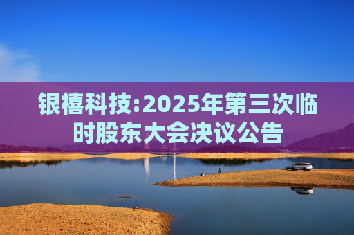 银禧科技:2025年第三次临时股东大会决议公告  第1张