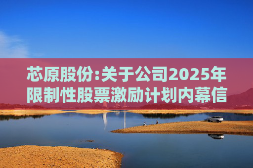 芯原股份:关于公司2025年限制性股票激励计划内幕信息知情人买卖公司股票情况的自查报告