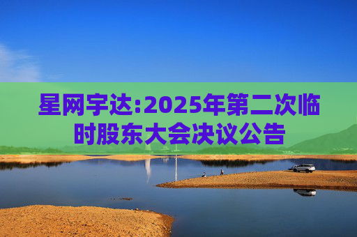 星网宇达:2025年第二次临时股东大会决议公告