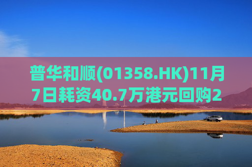 普华和顺(01358.HK)11月7日耗资40.7万港元回购29.5万股
