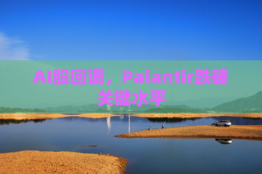 AI股回调，Palantir跌破关键水平