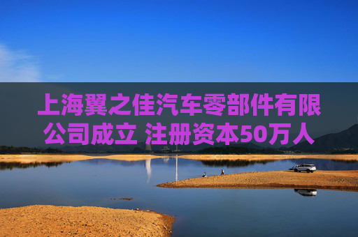 上海翼之佳汽车零部件有限公司成立 注册资本50万人民币