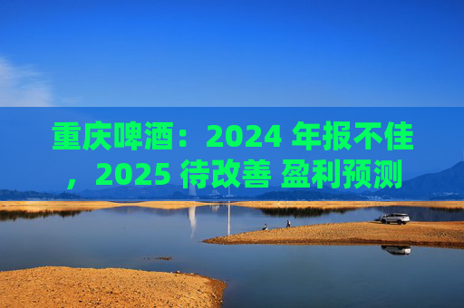 重庆啤酒：2024 年报不佳，2025 待改善 盈利预测  第1张