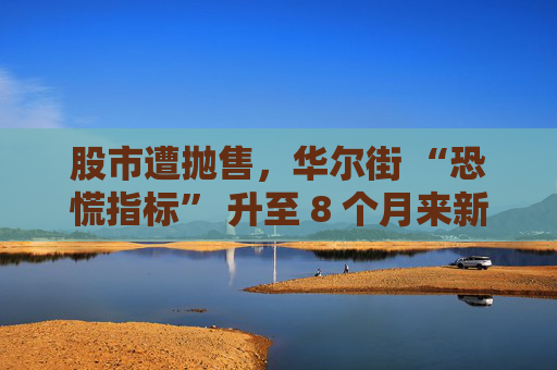 股市遭抛售,华尔街 “恐慌指标” 升至 8 个月来新高