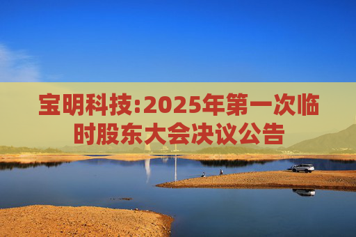 宝明科技:2025年第一次临时股东大会决议公告
