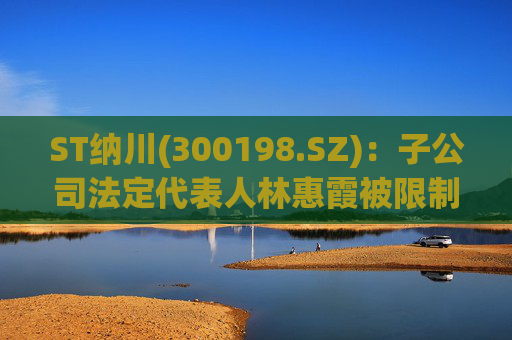 ST纳川(300198.SZ)：子公司法定代表人林惠霞被限制高消费