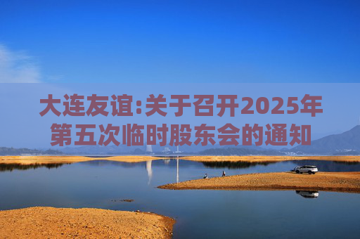 大连友谊:关于召开2025年第五次临时股东会的通知  第1张