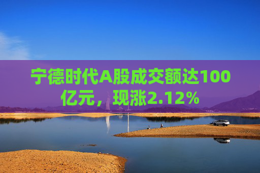 宁德时代A股成交额达100亿元，现涨2.12%