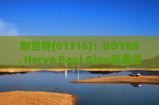 耐世特(01316)：BOYER, Hervé Paul Gino获委任为执行董事