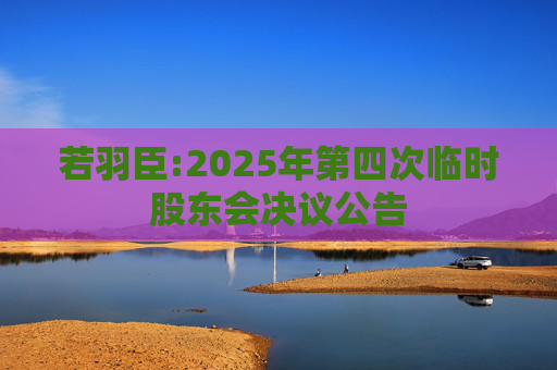 若羽臣:2025年第四次临时股东会决议公告