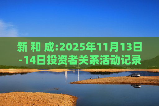 新 和 成:2025年11月13日-14日投资者关系活动记录表