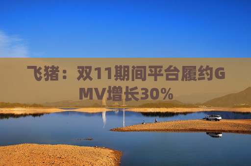 飞猪：双11期间平台履约GMV增长30%